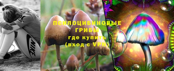 круглые Бородино