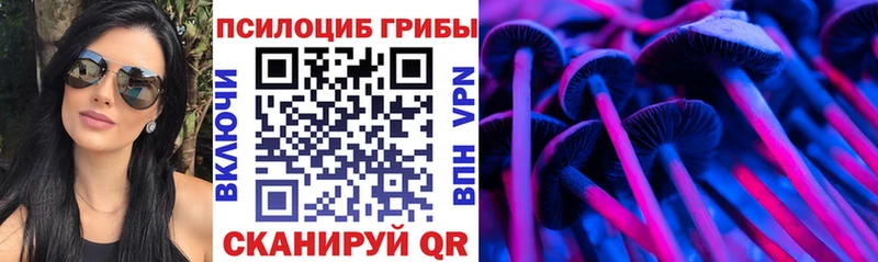 KRAKEN онион  Гагарин  Псилоцибиновые грибы Psilocybe 