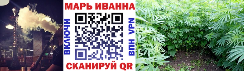 shop телеграм  Гагарин  Каннабис индика 